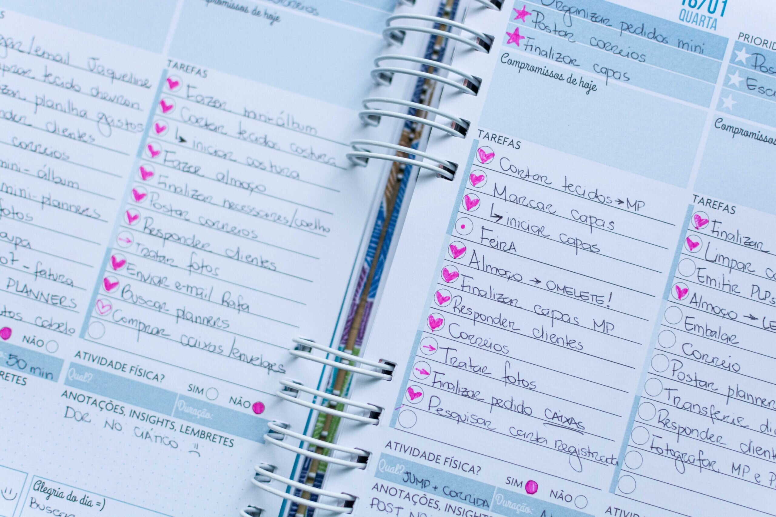 Planner Zaená: como usar e aproveitar ao máximo!