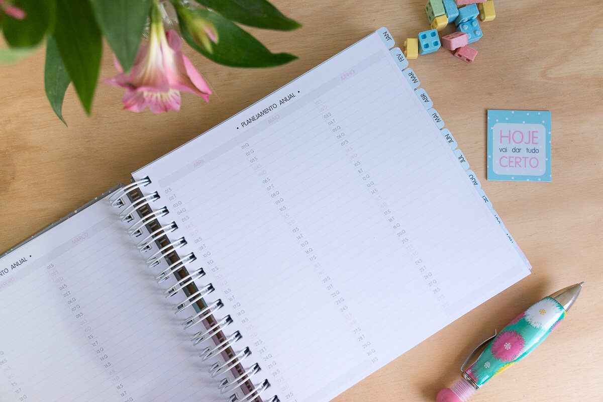 Planner 2019 - planejamento anual