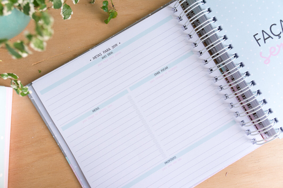 Planner 2019 - metas anuais