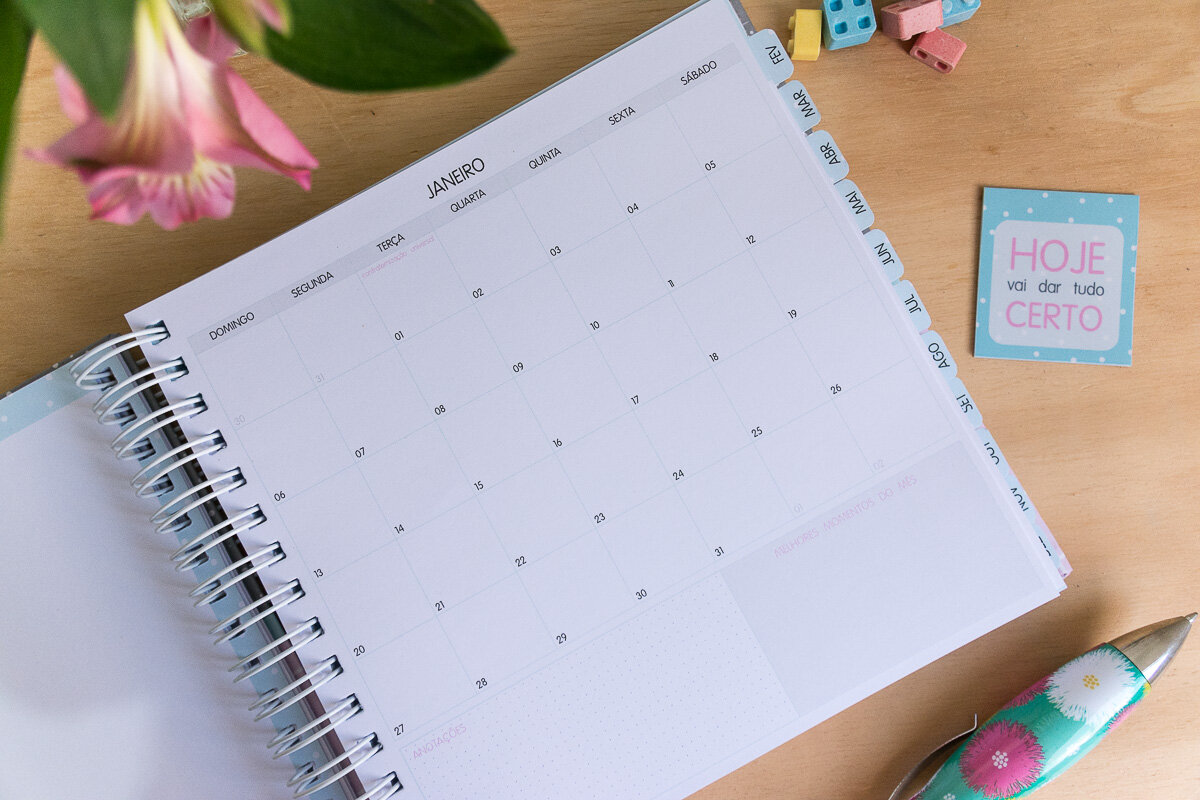 Planner 2019 - visão mensal