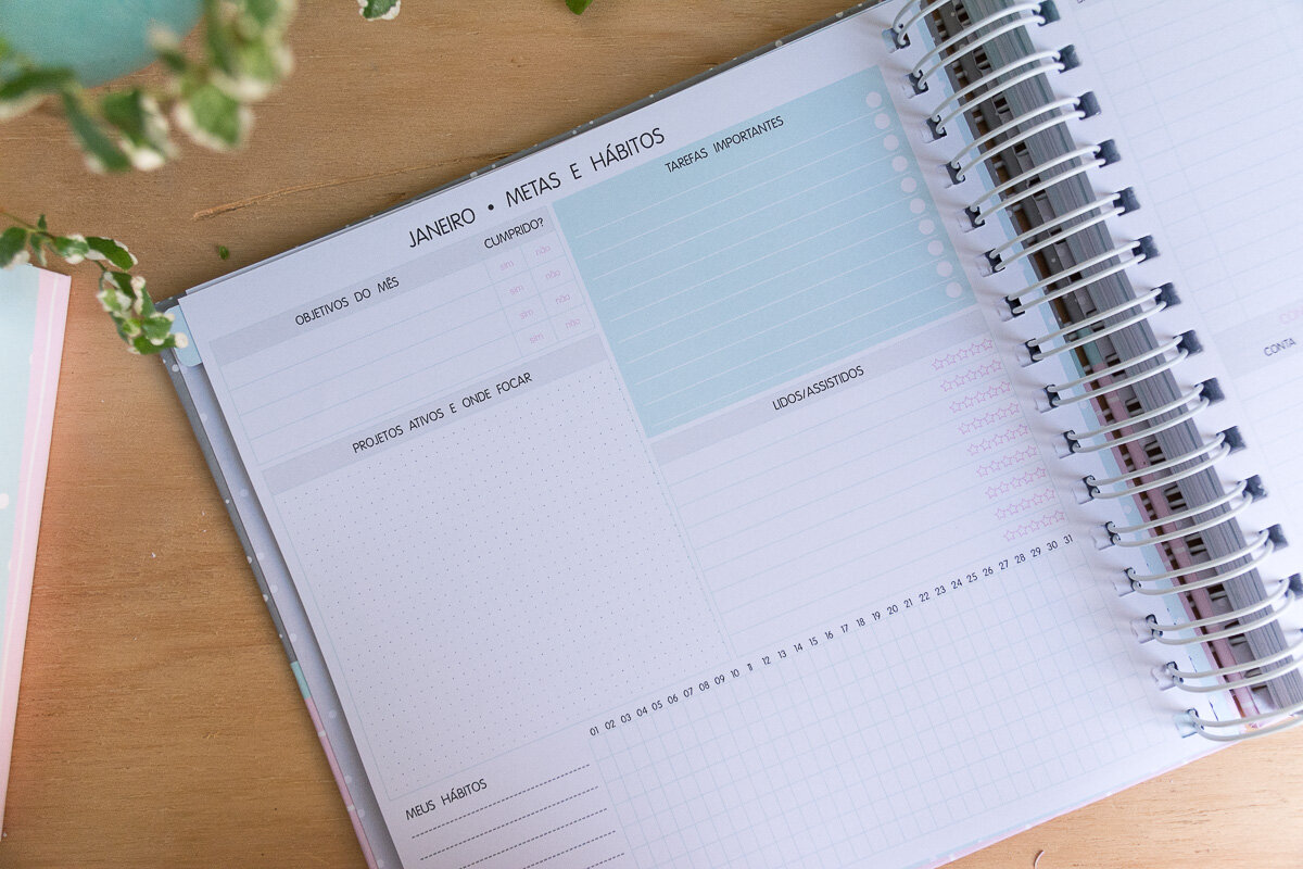 Planner 2019 - metas mensais