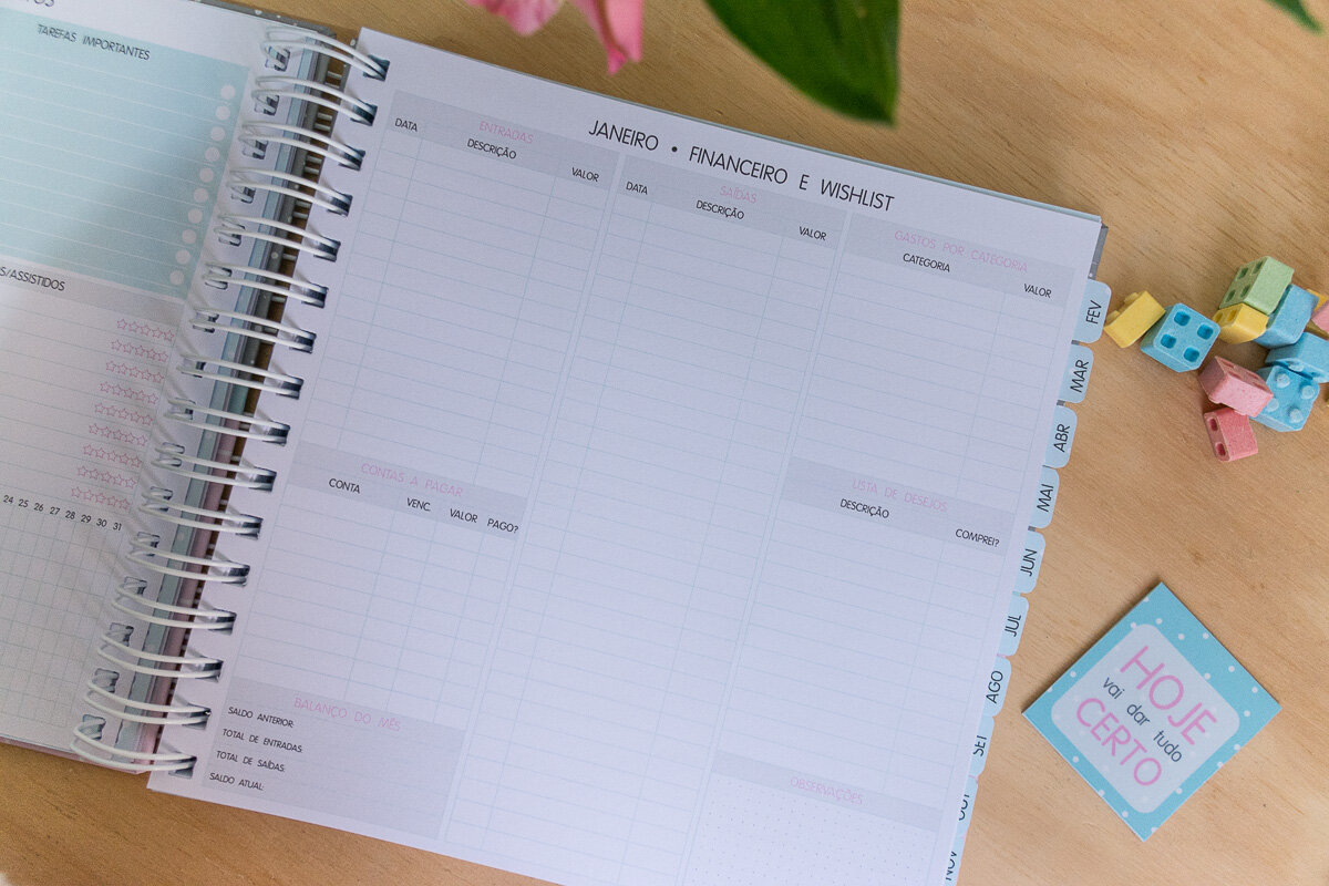 Planner 2019 - planejamento financeiro